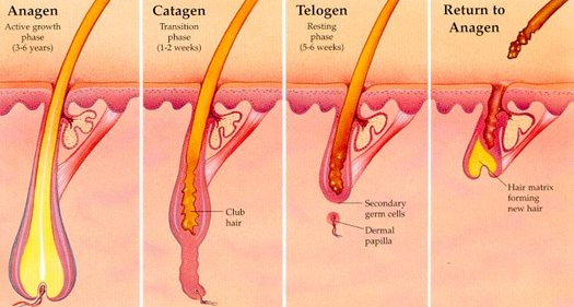 Permanent Laser Hair Removal Clinic Delhi NCR