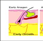 Laser Hair Removal Clinic By New Look Laser Clinic, New Delhi.